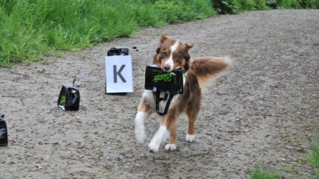 Auffahrtsbummel 2013